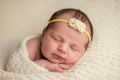 Tule haarband met kleine witte bloemetjes